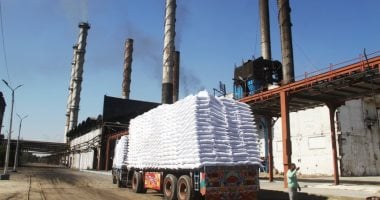 مصانع كوم أمبو تستعد لختام موسم الذهب الأبيض.. نجاح إنتاج السكر من القصب يعزز الأمن الغذائى.. إنتاج 160 ألف طن سكر خلال الموسم.. ويستقبل يومياً 15 ألف طن من المحصول.. صور