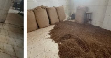 مزاج" مغشوش في قبضة الأمن. ضبط 15 طن معسل فاسد داخل مصنع "بير سلم"