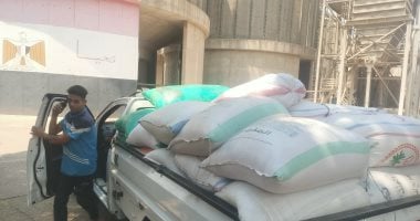 كيف يتم تخزين القمح؟.. 5 مراحل رئيسية لتوريد الذهب الأصفر للصوامع (فيديو)