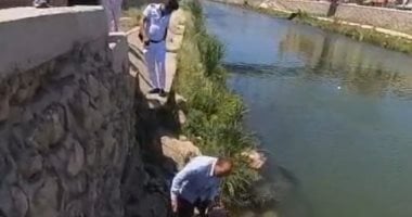 حملة للقضاء على الملوثات بالإسكندرية