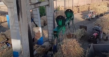 مصنع أرمنت يختتم موسم توريد قصب السكر بعد 4 شهور من العمل اليومى.. صور