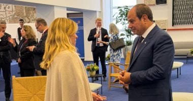 الرئيس السيسى يطالب بالتنفيذ غير الانتقائى لمنع الانتشار النووى بالمنطقة.. صور