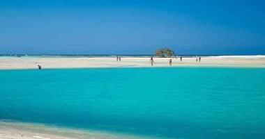 مرسى علم مالديف مصر وجوهرة شواطئها.. شرم اللولى والقلعان وخلجان أبو دباب ومبارك وتنضبه أجمل خلجانها .. وبحيرة النيزك وصمداى صاحبة ثالث أكبر تجمع للدلافين فى العالم أهم مواقعها الطبيعية .. صور