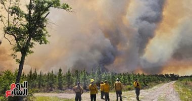 حرائق الغابات فى ولاية جورجيا 