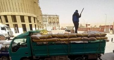 سيارات القمح فى صوامع سوهاج 