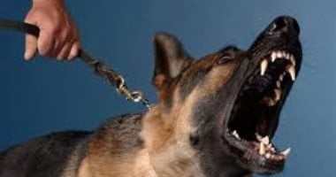 القبض على المتهمين باستدراج طالب وتهديده بكلب في بولاق الدكرور