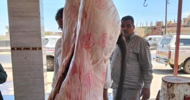 ‎حملة مكبرة تضبط كميات من البتلو وذبح خارج المجازر في البحيرة