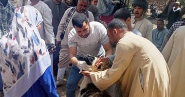بيطري سوهاج يسلم 850 رأس أغنام للمستفيدين بقرى أخميم والمراغة وطهطا وساقلتة