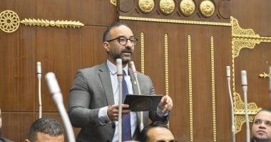 الحمامصي يعتزم تقديم تعديل تشريعي ينهي وقف معاش الابنة عند الزواج
