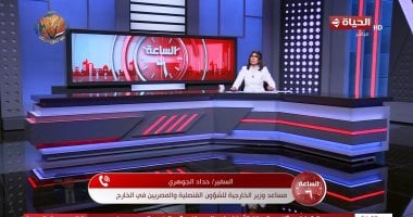 السفير حداد الجوهري: التواصل مع المصريين بالخارج أولوية