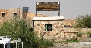 جزر سالوجا وغزال كنز بيئى على ضفاف النيل.. المحمية تحافظ على التنوع النادر وتروى حكاية التوازن البيئى.. طبيعة ساحرة وطيور مهددة بالانقراض.. محط اهتمام الباحثين وعشاق الطبيعة والسياح من مختلف أنحاء العالم.. صور