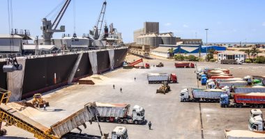 ميناء دمياط يستقبل السفينة "PRINCESS KATHERINE" محملة بـ65 ألف طن قمح