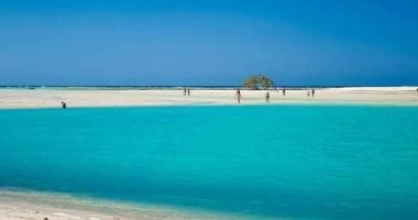 مرسى علم مالديف مصر.. لوحة طبيعية تجمع أجمل شواطئ وخلجان مصر