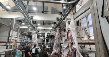 طفرة الـ464 مجزرا.. التنمية المحلية والبيئة استثمرت مليارات الجنيهات لتأمين مائدة المصريين وإنهاء فوضى الذبح العشوائى بالتكنولوجيا الخضراء.. مجازر مجانية وغرامات تصل إلى 10 آلاف جنيه عقوبة الذبح بالشارع.. صور