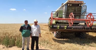 زراعة الإسماعيلية: انطلاق حصاد القمح ومتابعة يومية لانتظام التوريد