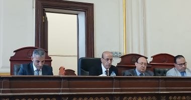 إحالة أوراق تاجر خضار للمفتى قتل سائقا لسرقة تروسيكل بالإسكندرية