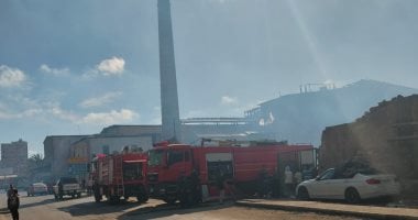 الحماية المدنية تسيطر على حريق بأرض فضاء فى كرموز بالإسكندرية دون إصابات