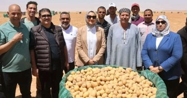 محافظ الوادى الجديد تشهد حصاد مشروعات الاستثمار الزارعى بمركز بلاط