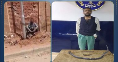 سقوط فنى التوصيلات المشبوهة.. تفاصيل ضبط لص الأسلاك فى بورسعيد