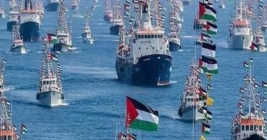 الجيش الإسرائيلى: توقيف 21 سفينة من أصل 58 مشاركة فى الأسطول المتجه إلى غزة