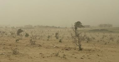 رياح محمّلة بالأتربة تُخفض الرؤية وتعطل حركة الملاحة والصيد في شمال سيناء