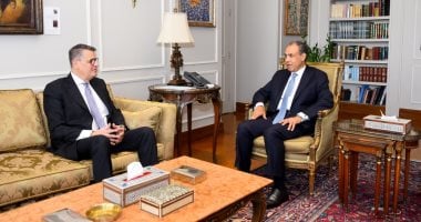 وزير الخارجية يستقبل رئيس لجنة حقوق الإنسان فى مجلس النواب