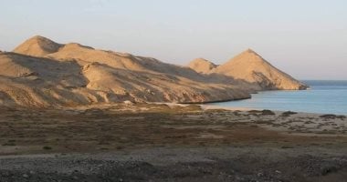 بداية موسم التعشيش.. الزبرجد والجفتون أهم جزيرتين للسلاحف بالبحر الأحمر.. الخضراء منها تقصد الأولى.. وصقرية المنقار تضع بيضها بالثانية.. تبدأ عملية وضع البيض من مايو حتى سبتمبر.. والمحميات ترصد المئات.. صور