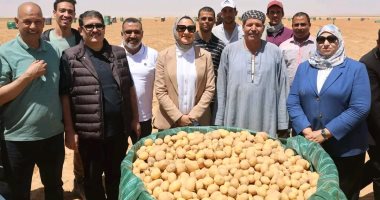 محافظ الوادي الجديد تشهد موسم حصاد البطاطس