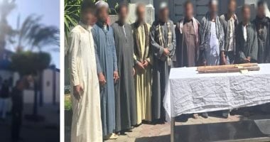 سيدة تزييف الحقائق.. كواليس معركة "العصى" والاستيلاء على الأراضى فى برج العرب