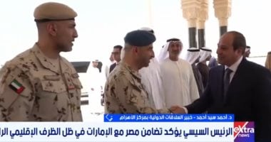 خبير: زيارة الرئيس السيسى للخليج تؤكد متانة العلاقات ورسائل دعم للأمن العربي