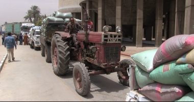 محافظ سوهاج: فتح مسارات بديلة لتوريد القمح وزيادة أعداد العاملين