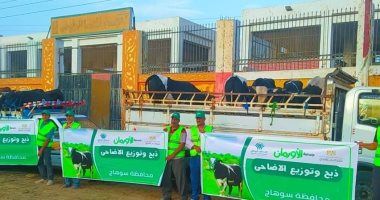 خلال عيد الأضحى.. توزيع 50 ألف كيلو لحوم و50 عجلا على الأسر الأولى بالرعاية بسوهاج