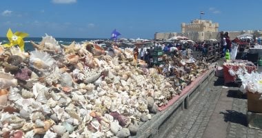 بعد تجول الرئيس الفرنسى بين شوارعها.. كيف تقضى فسحة ممتعة فى "بحرى" أقدم الأحياء الشعبية بالإسكندرية.. قلعة قايتباى متعة التواجد داخل المناطق الأثرية ورؤية البحر.. متاحف الأحياء المائية جولة بأعماق البحار.. صور