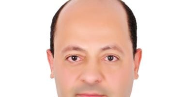 وزير الاستثمار يصدر قرارا بتعيين  سعيد عرفه مساعدا للوزير لشئون عقود الاستثمار