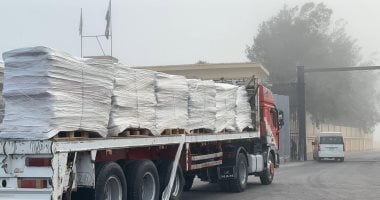 مساعدات الهلال الأحمر المصرى إلى غزة