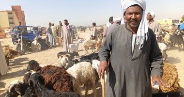 الحق اشتري الأضحية.. زحام في سوق الإثنين للأغنام بأسوان.. فيديو