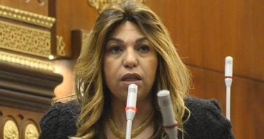 د. أماني فاخر - وكيل لجنة الشؤون المالية والاقتصادية بمجلس الشيوخ