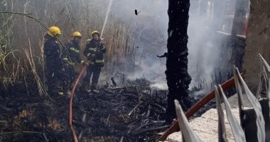 السيطرة على حريق بمخلفات وهيش داخل سور مستشفي بنها التعليمي