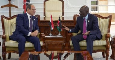 الرئيس السيسى يلتقى نظيره الكينى ويؤكد الحرص على تعزيز التعاون مع دول حوض النيل