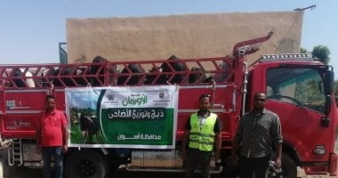 توزيع 50 ألف كيلو لحوم وخمسين عجلاً بأسوان