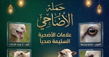 6 علامات تدل على سلامة الأضحية.. "بيطرى دمياط" توضحها