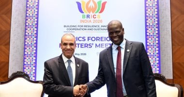 وزير الخارجية ونظيره الجنوب أفريقى يبحثان سبل تعزيز العلاقات الثنائية
