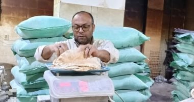 رفع 2069 طن قمامة وتحرير 105 محاضر تموينية متنوعة بكفر الشيخ