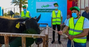 توزيع 50 ألف كيلو لحوم أضاحى و50 عجل بلدى للأسر بالشرقية خلال عيد الأضحى
