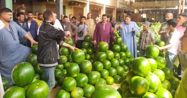 البطيخ الجيزة