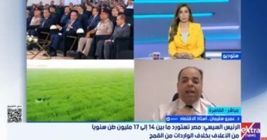 خبير: الدولة تمضى في طريقها لتنفيذ المشروعات القومية ودعم الاقتصاد