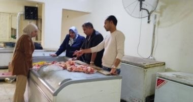 ضبط دهون ولحوم فاسدة داخل مخزن غير مرخص ببورسعيد.. صور