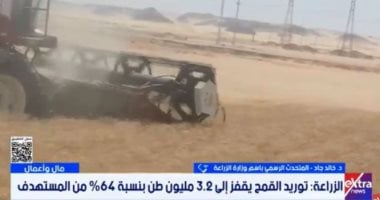 الزراعة: المزارعون اعتمدوا على 25 صنفا جديدا من القمح ذي إنتاجية عالية