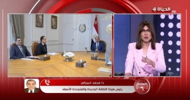 محمد السبكى: التوسع فى الطاقة المتجددة يوفر الوقود ويحد من التلوث البيئى