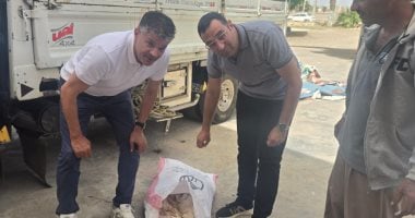 ضبط 14 طن دواجن نافقة وهياكل فراخ وأوراك وأجنحة مجمدة غير صالحة بكفر الشيخ